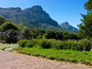 Wspaniałe krajobrazy w Kirstenbosch