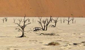 Deadvlei